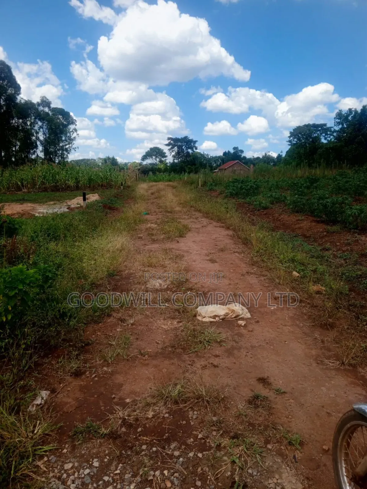 1.5 Acres of Land in Kiwenda Behind the Town in Central Division