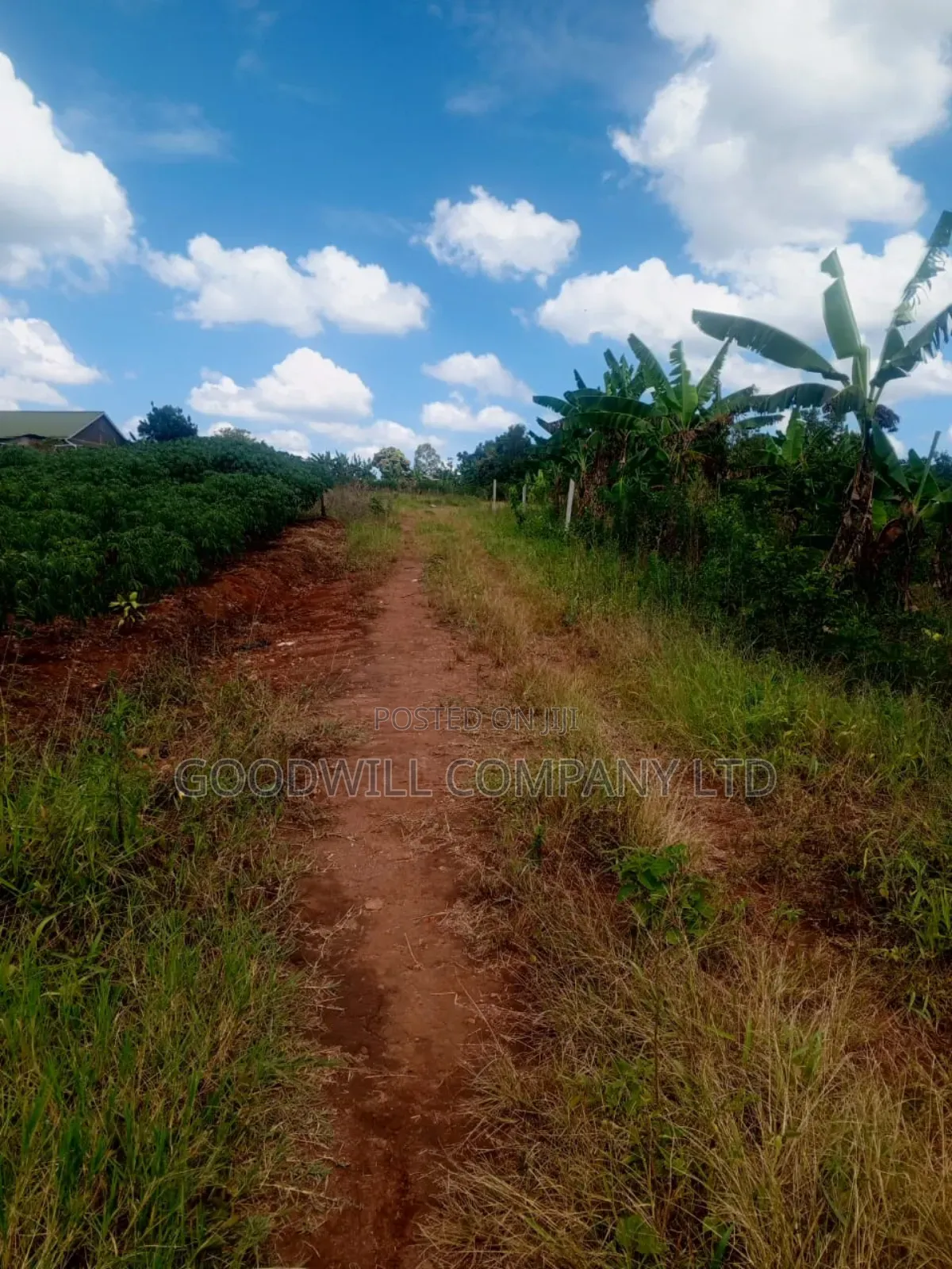1.5 Acres of Land in Kiwenda Behind the Town in Central Division