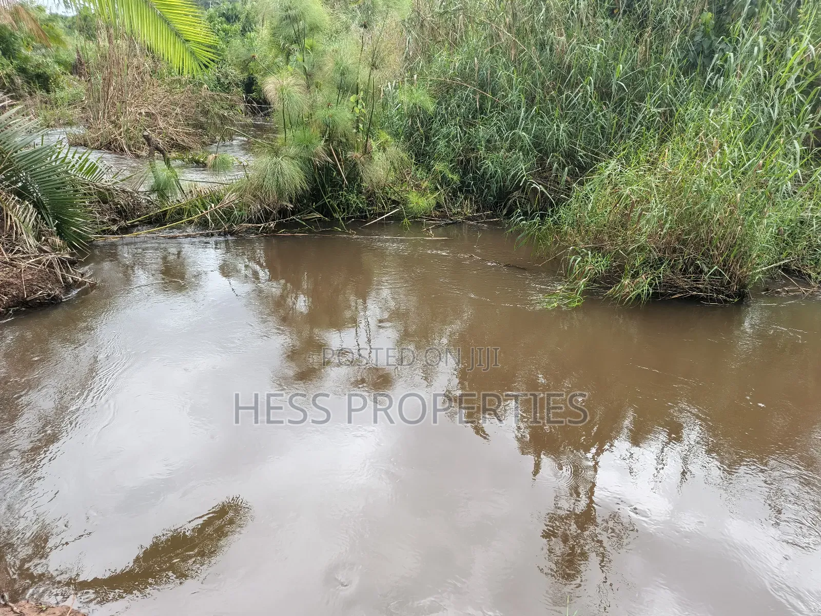 Agricultural Land on Sale in Kyenjojo