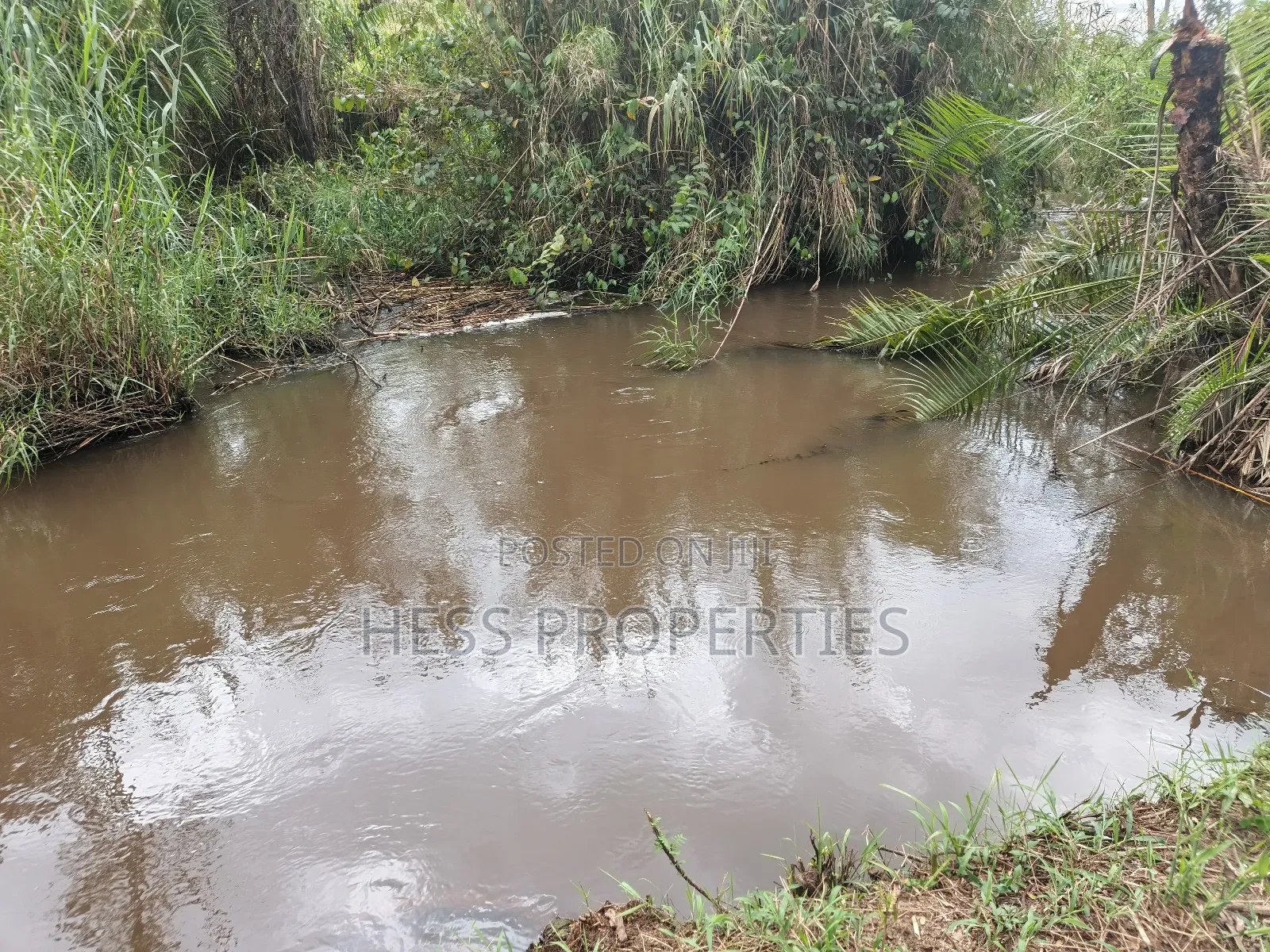 Agricultural Land on Sale in Kyenjojo