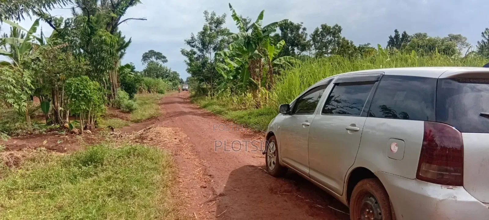 1 Acre Of Sugarcane-covered Land For Sale – Muguluka,Jinja District in Jinja
