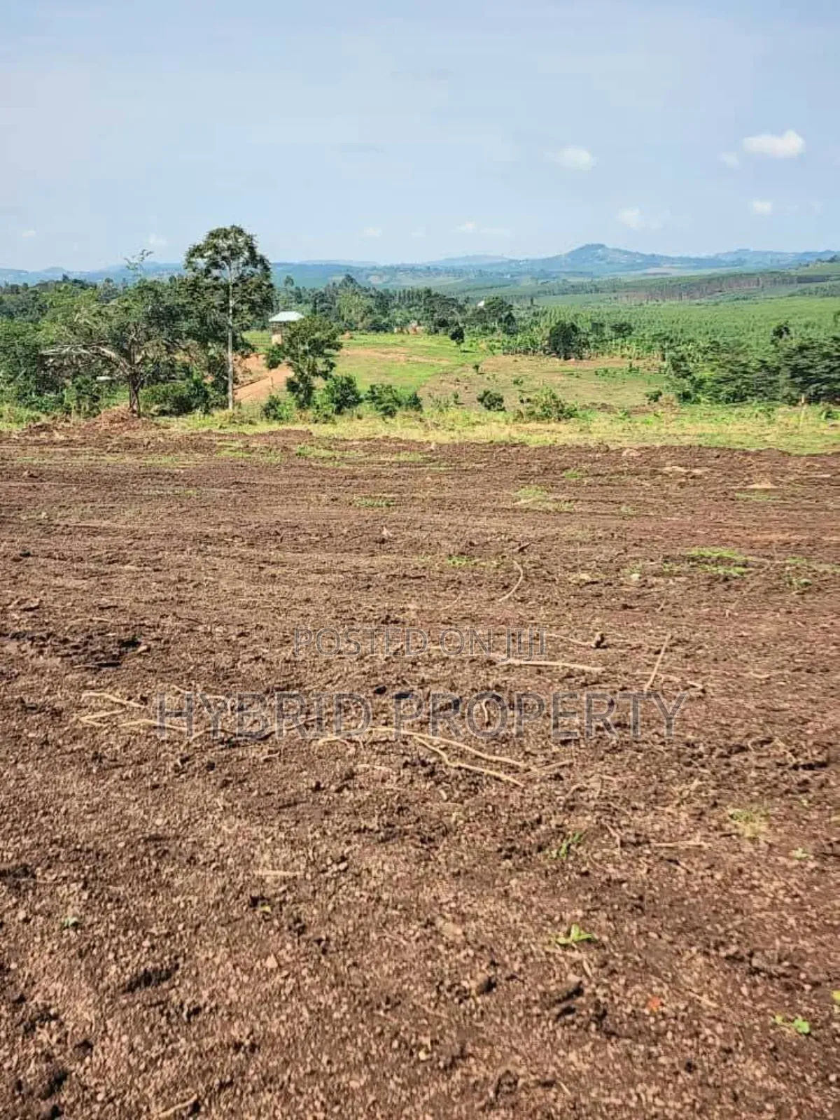 Prime Plots for Sale at Kakiri~Kikugi Bigambo Bitono Estate~Hoima Road in Kakiri