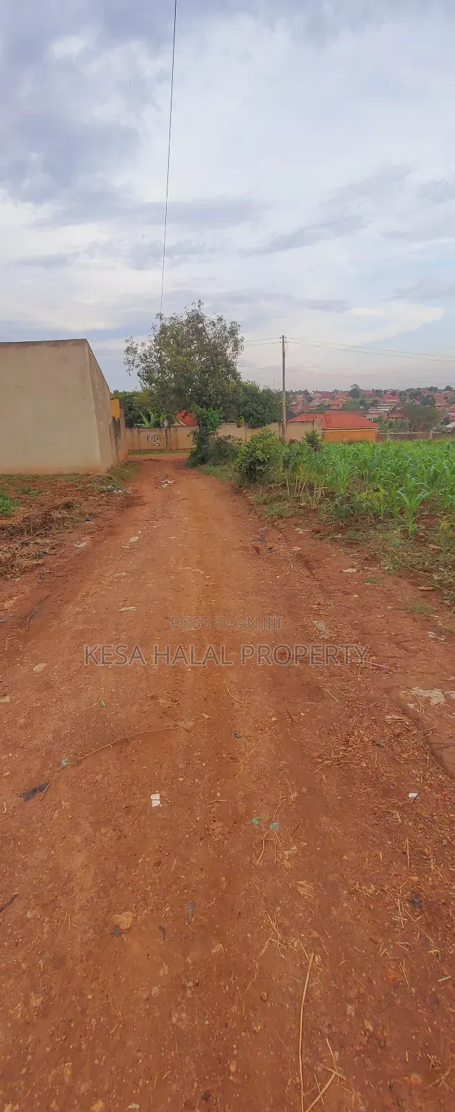 Titled 50x100 Plots Behind Kagoma in a Good Neighboring State in Nabweru