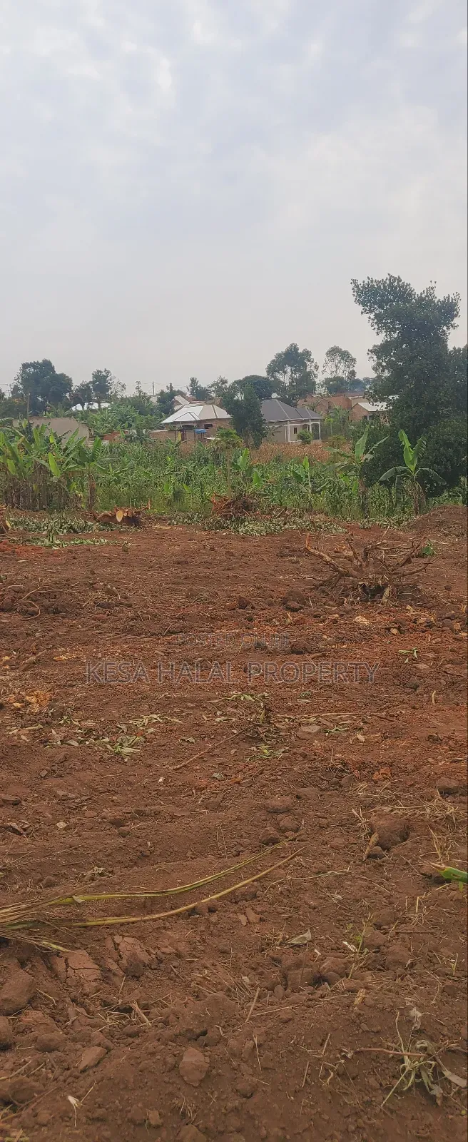 Good Plots Titled 50x100 Lwemwde Nearing Town in Busukuma