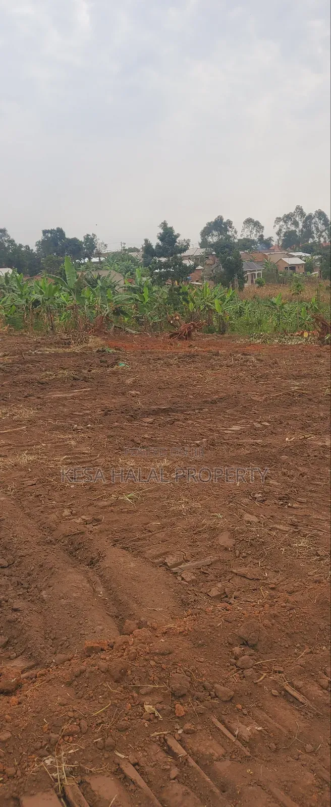 Good Plots Titled 50x100 Lwemwde Nearing Town in Busukuma