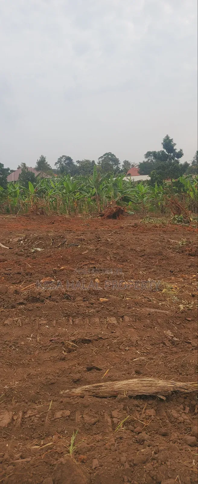 Good Plots Titled 50x100 Lwemwde Nearing Town in Busukuma