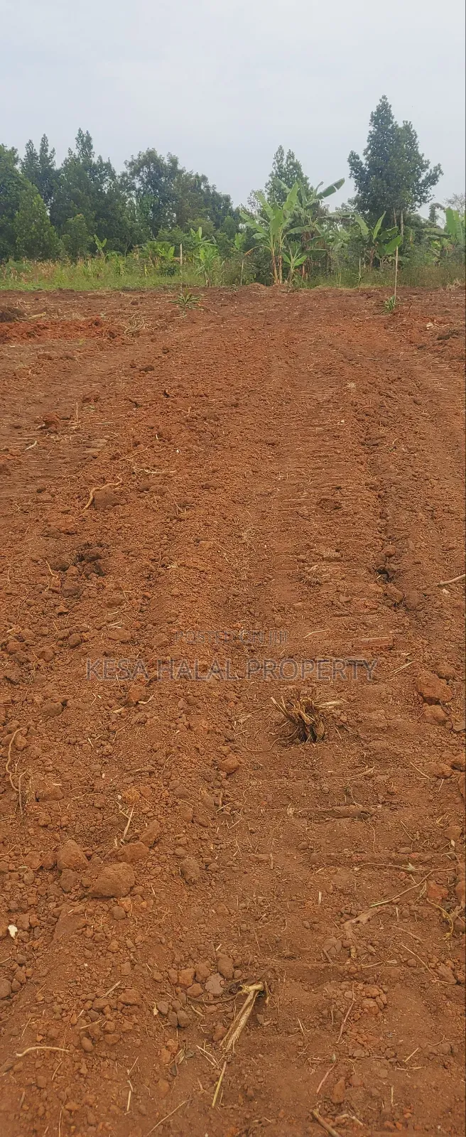 Good Plots Titled 50x100 Lwemwde Nearing Town in Busukuma