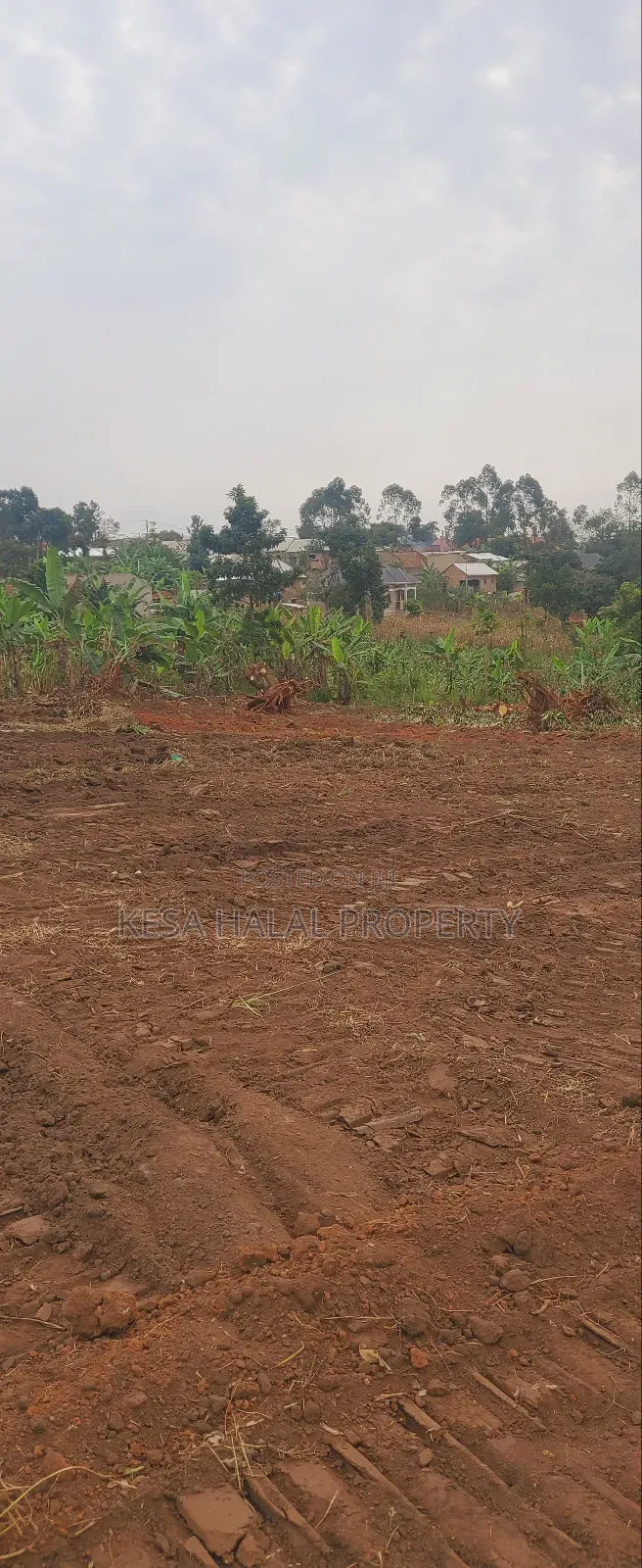 Good Plots Titled 50x100 Lwemwde Nearing Town in Busukuma