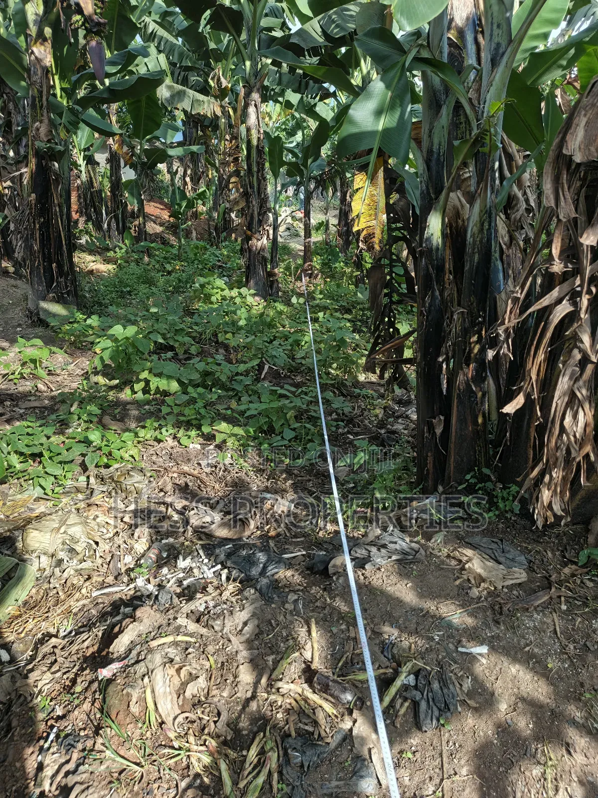 Commercial Plot on Sale in Kabalore