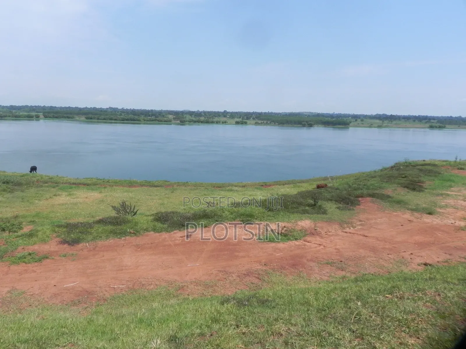 3 Acres Touching the River Nile for Sale – Matumu, Kamuli, Ugx I 120m in Iganga