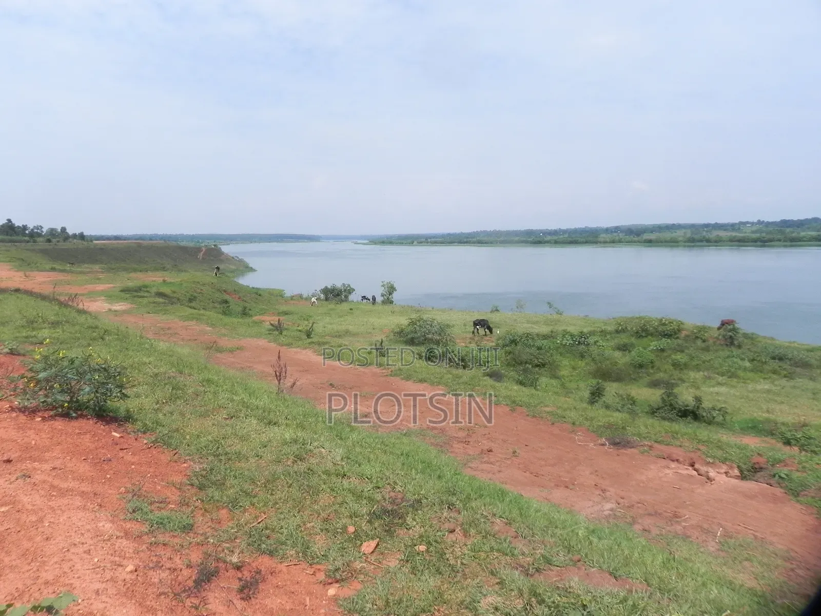 3 Acres Touching the River Nile for Sale – Matumu, Kamuli, Ugx I 120m in Iganga