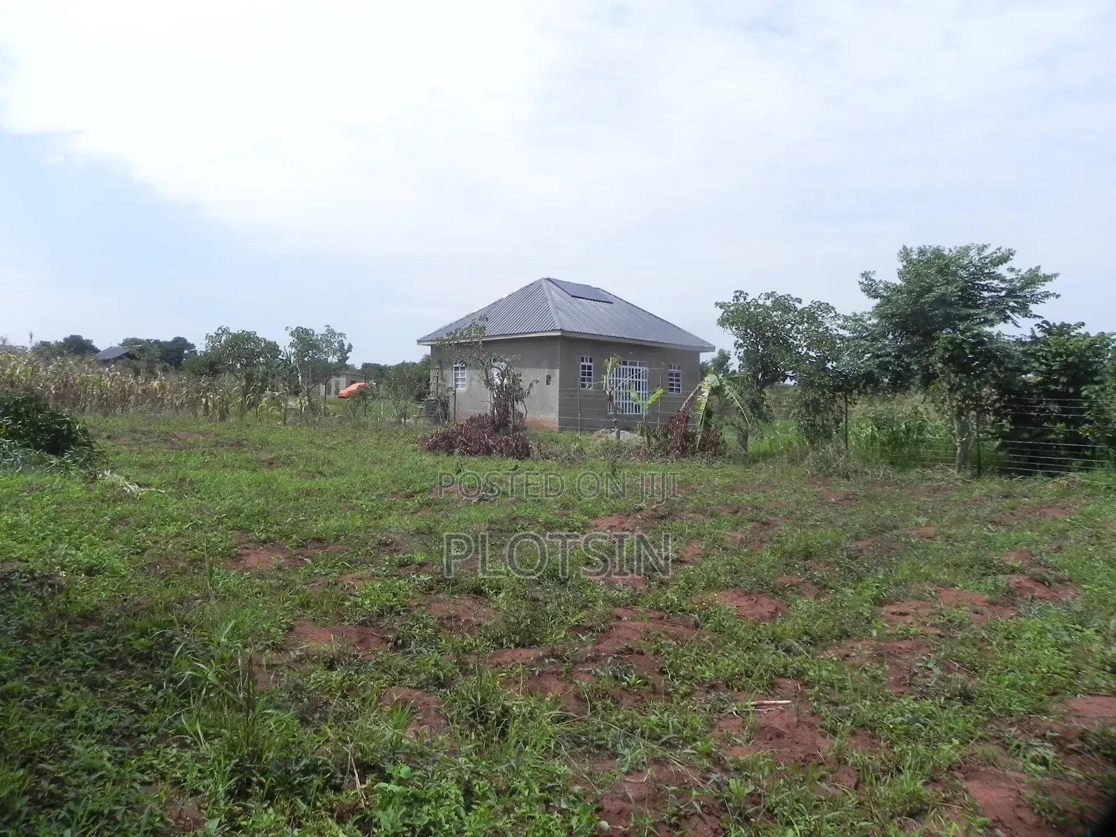 3 Acres Touching the River Nile for Sale – Matumu, Kamuli, Ugx I 120m in Iganga
