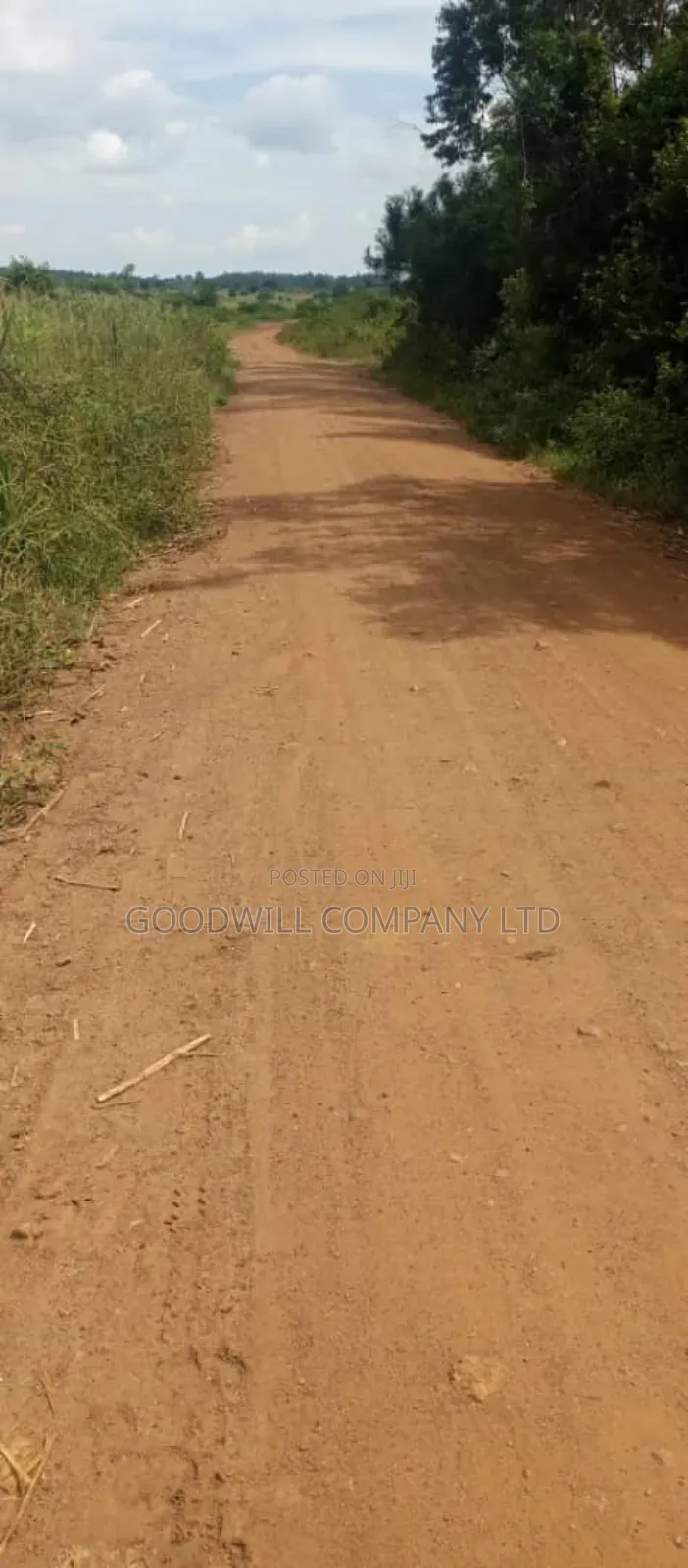 20 Acres of Land in Kamira Kikyuusa in Central Division