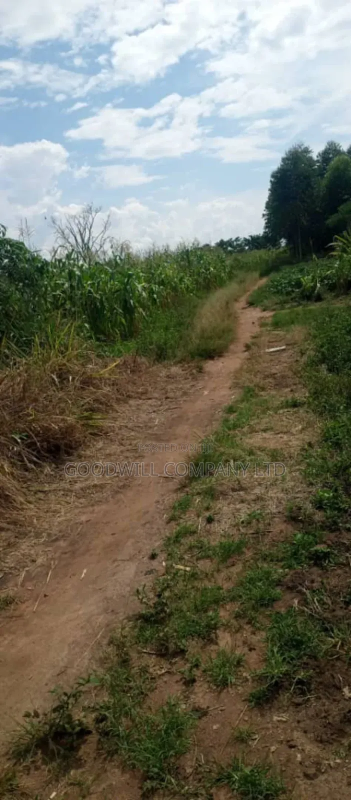 20 Acres of Land in Kamira Kikyuusa in Central Division