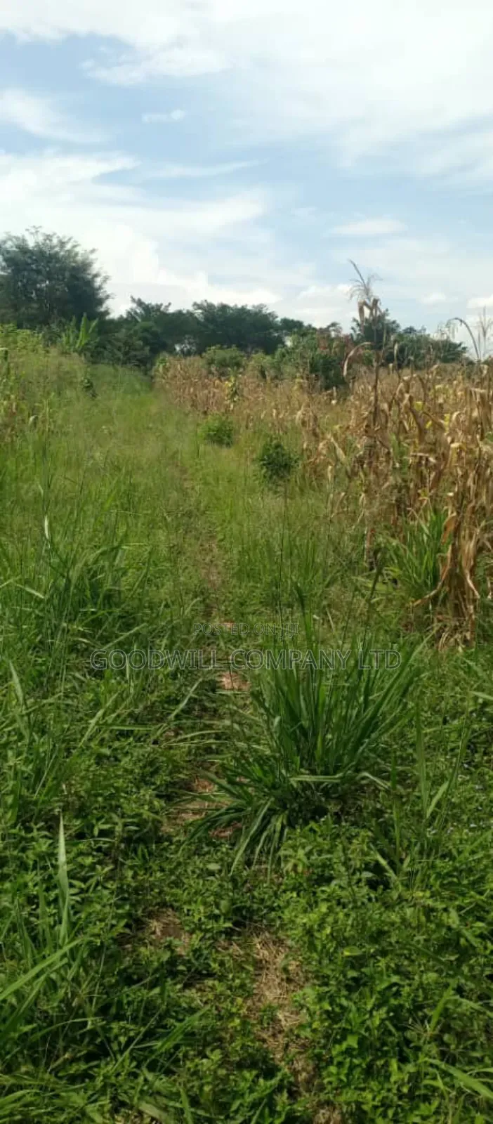 20 Acres of Land in Kamira Kikyuusa in Central Division