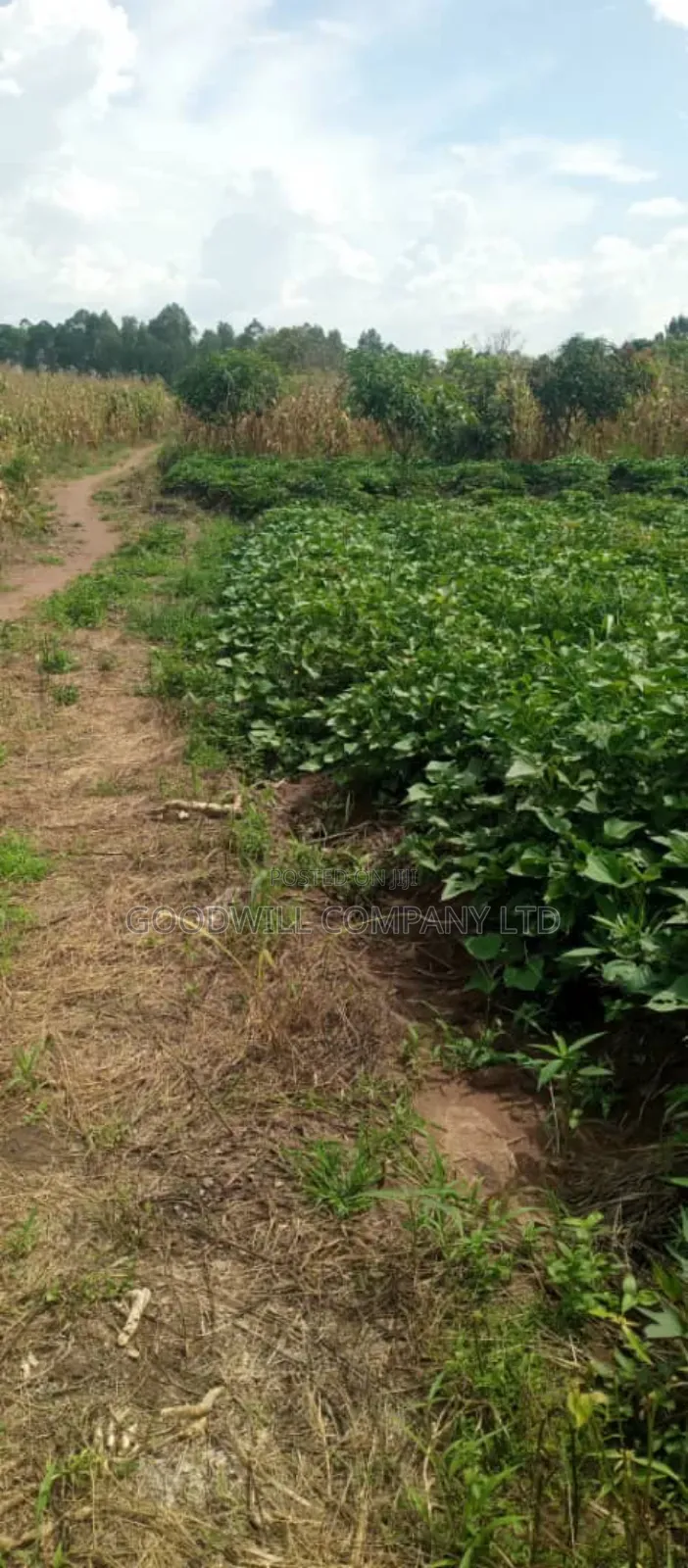 50 Acres of Farming/Agricultural Land in Kikyuusa Kamira in Central Division