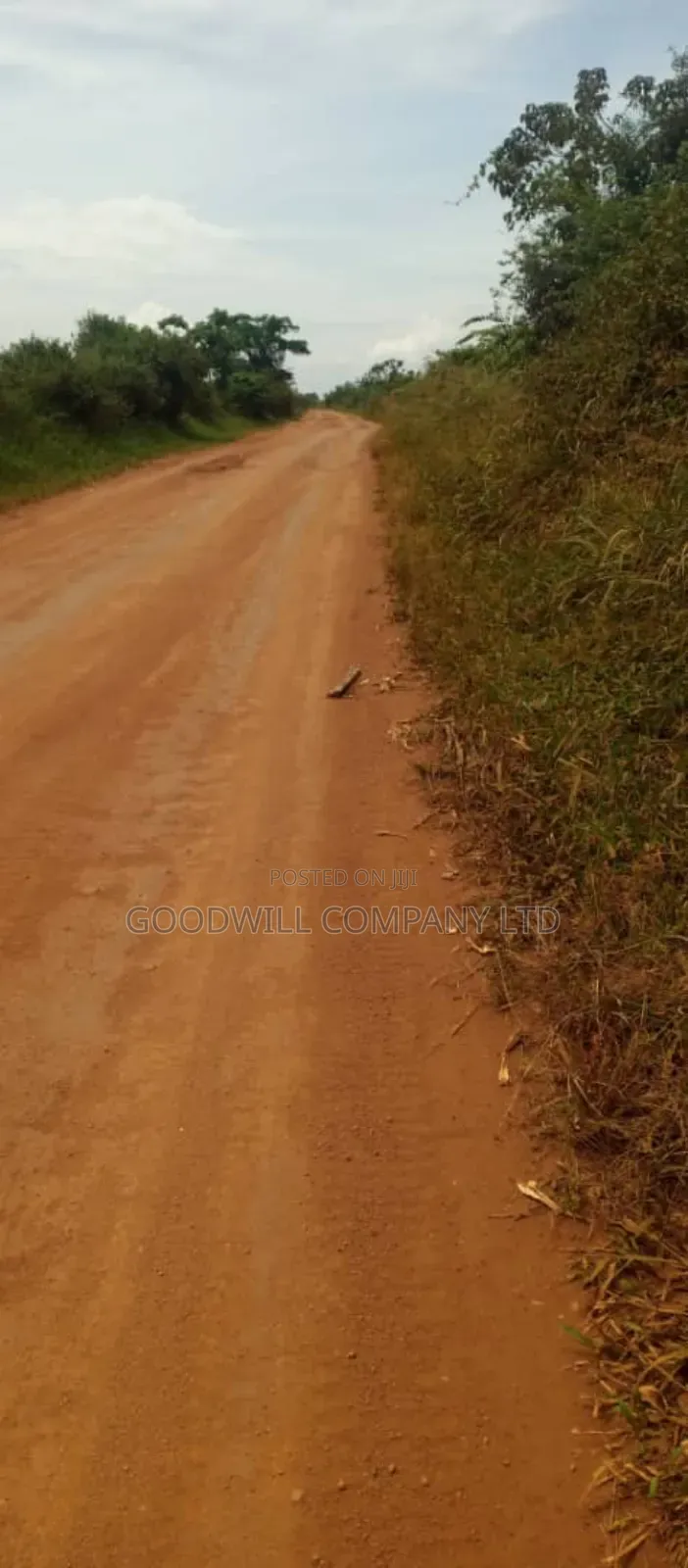 15 Acres of Land for Sale in Luwero Kabunyata in Central Division