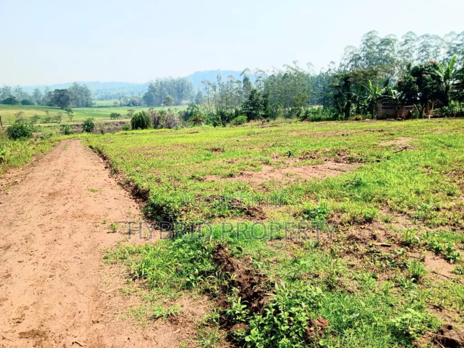 Prime Plots for Sale at Kakiri~Gobero Tarmac View Land Estate~Hoima Rd in Kakiri