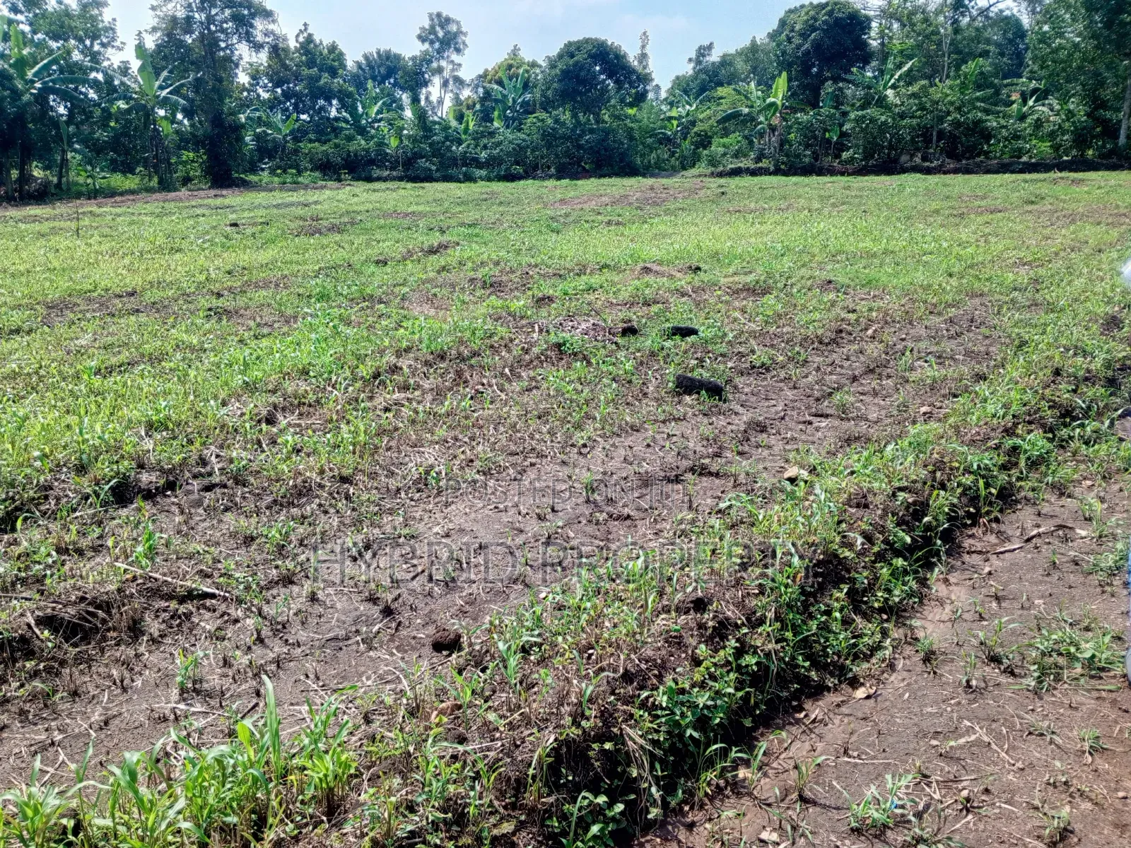 Prime Plots for Sale at Kakiri~Gobero Tarmac View Land Estate~Hoima Rd in Kakiri
