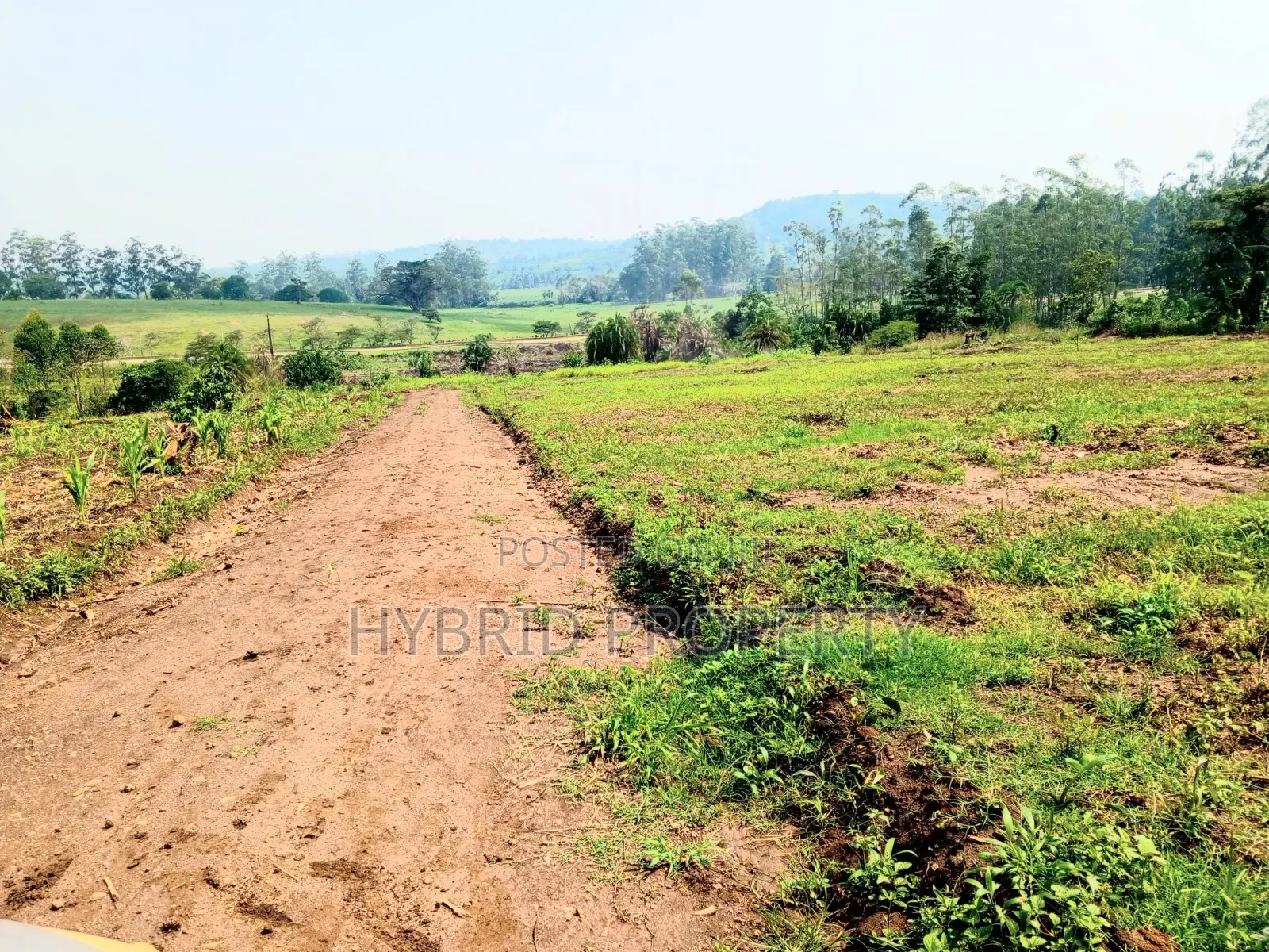 Prime Plots for Sale at Kakiri~Gobero Tarmac View Land Estate~Hoima Rd in Kakiri