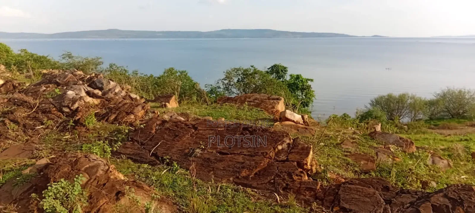 3 Acres Touches Lake Victoria – Buwagajo Nyenga, (Before Banana Beach) in Mukono TC