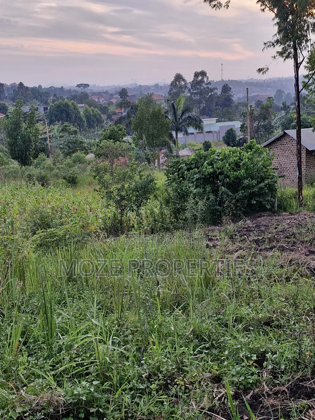 Nabusugwe Namugongo 50x100 Plot for Sale. in Central Division