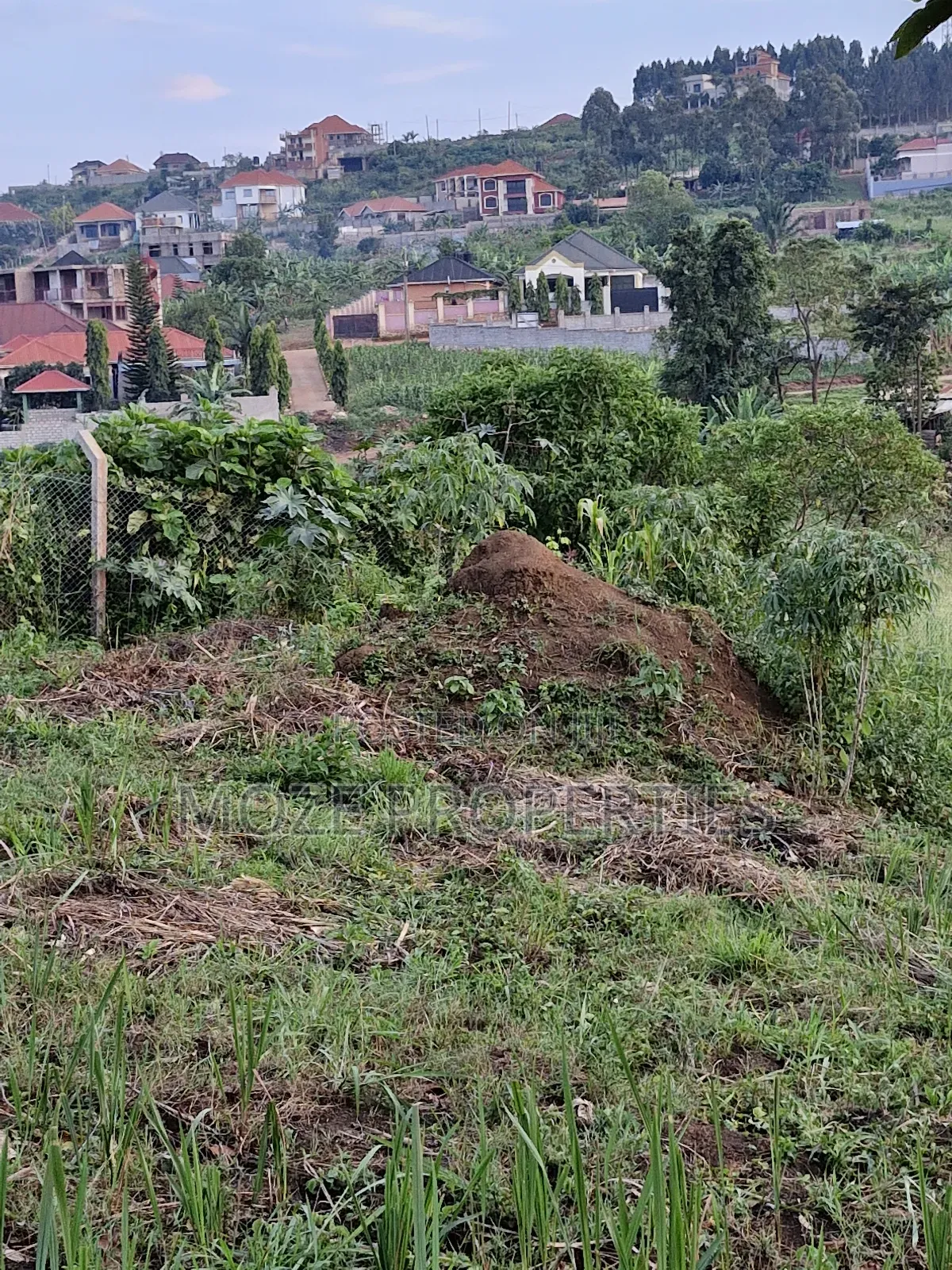 Nabusugwe Namugongo 50x100 Plot for Sale. in Central Division