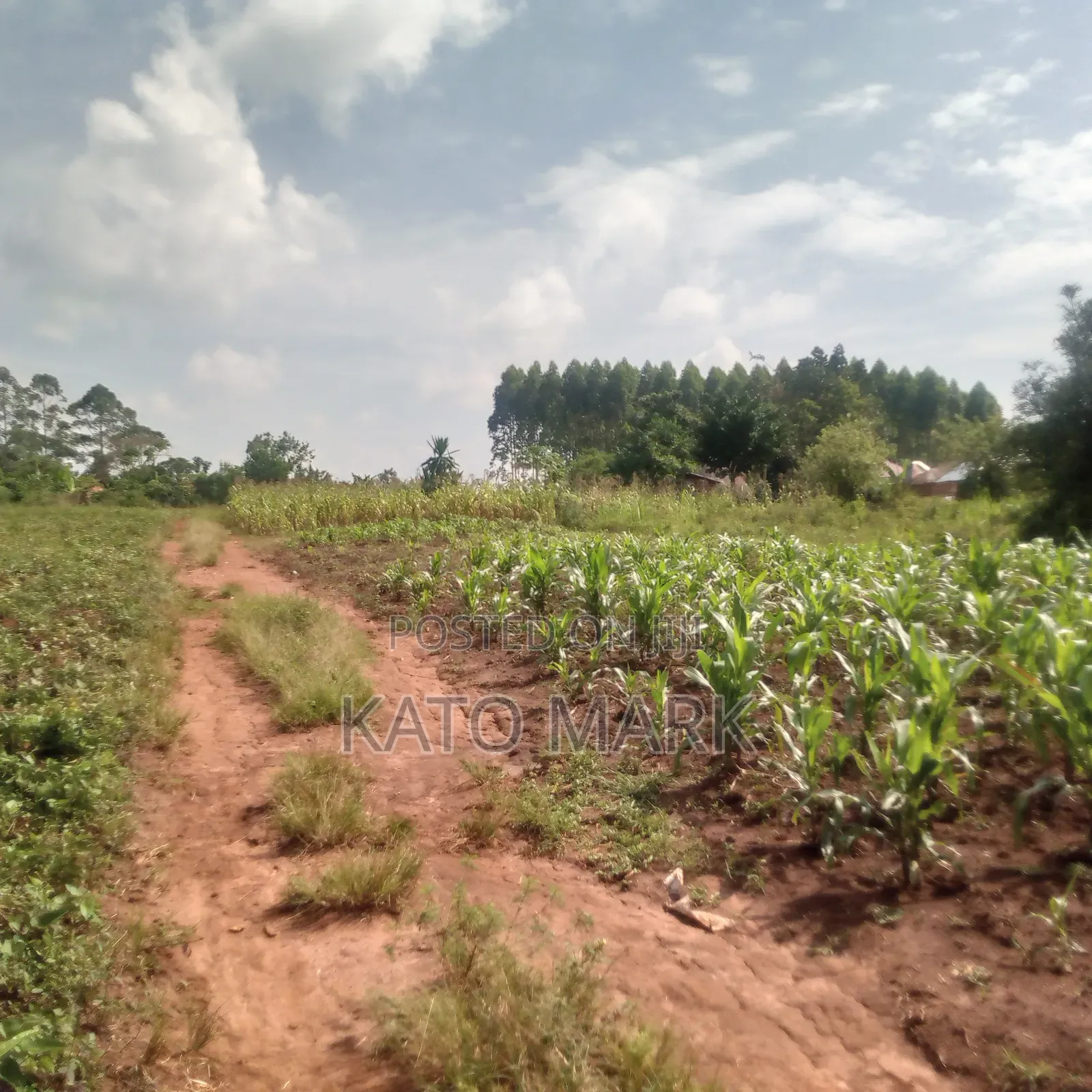 5 Acres for Sale Located at Mukono Nkokonjeru in Mukono TC