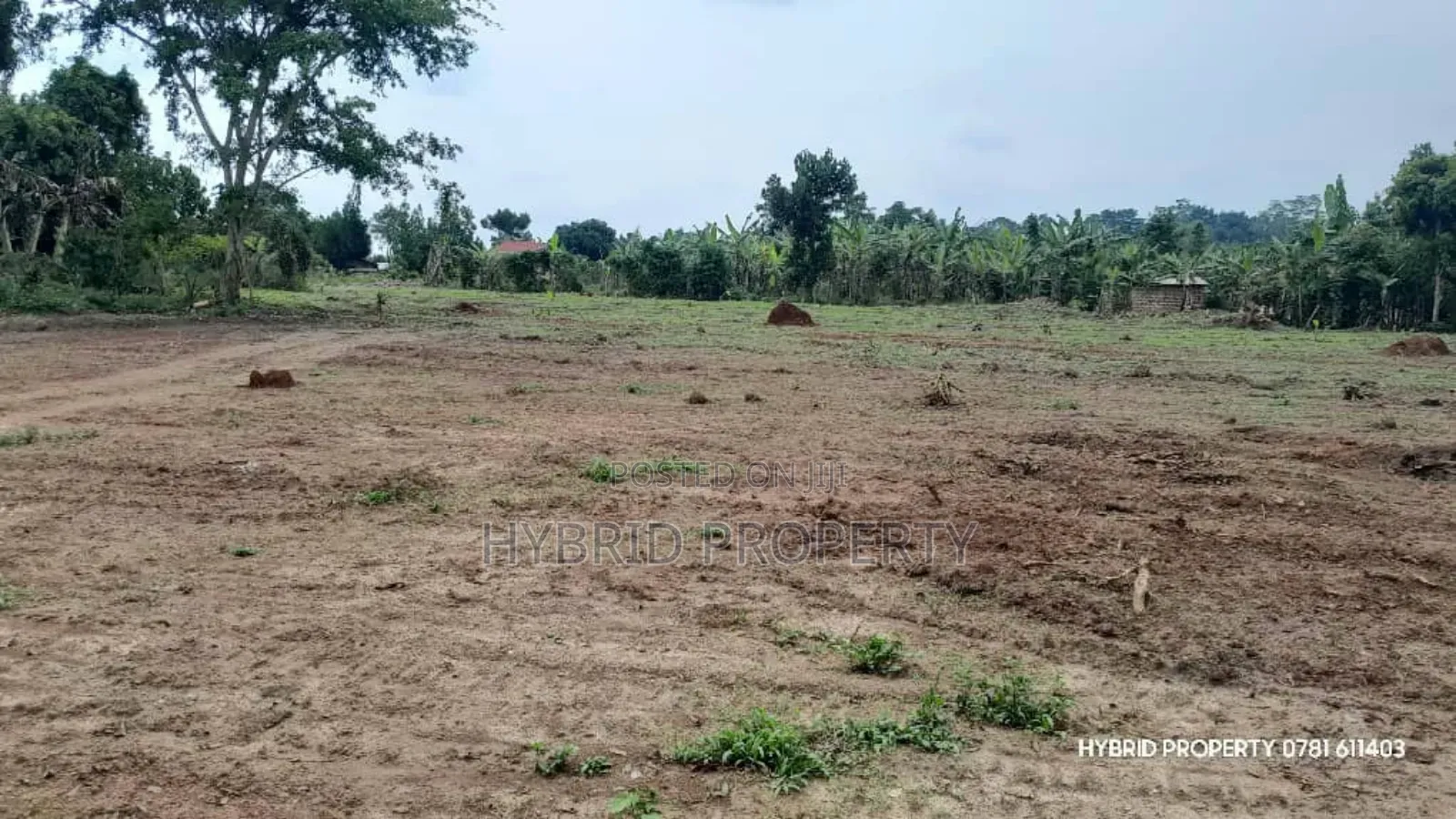 Prime Plots For Sale At Kakiri~Mwera Modern Estate Along Hoima Road. in Kakiri