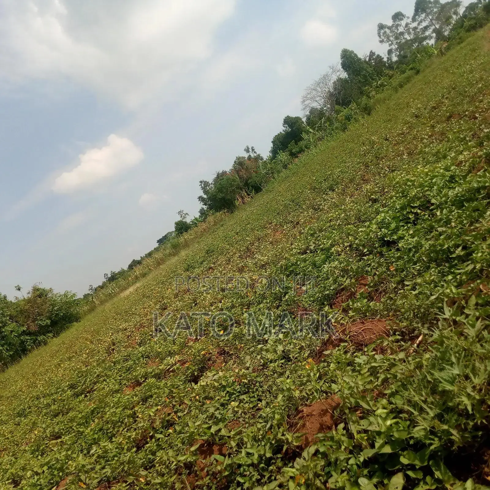 10 Acres for Sale Located at Mukono Nakifuma in Mukono TC