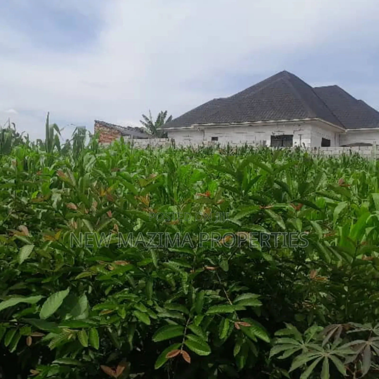 Two Plots Each Equivalent to 100 Ft X 100 Ft Onsale Mukono Mpoma in Central Division