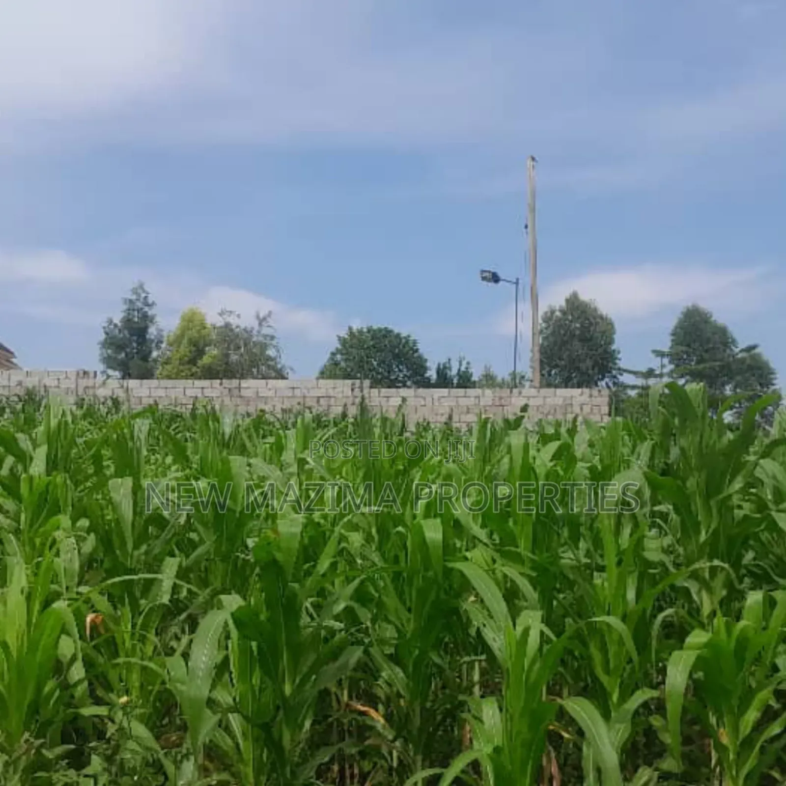Two Plots Each Equivalent to 100 Ft X 100 Ft Onsale Mukono Mpoma in Central Division