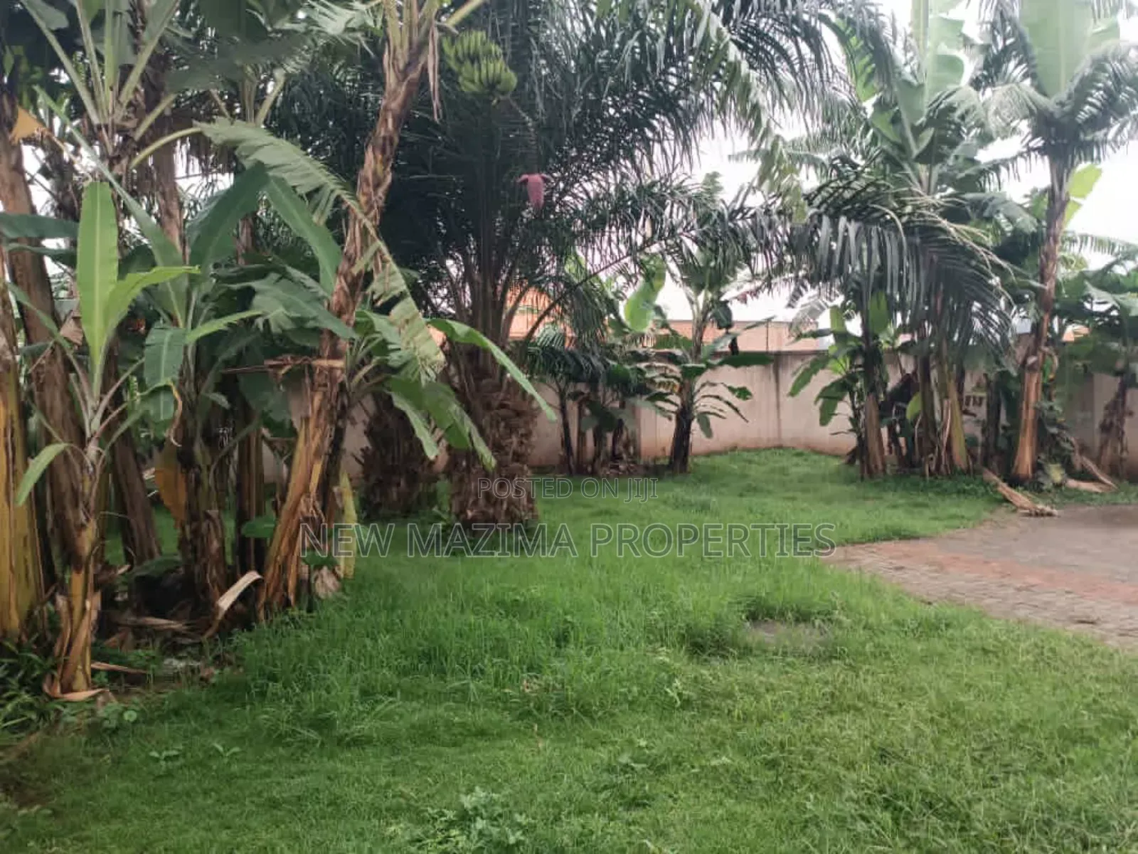 Very Hot Deal of 50 Decimals on Forced Sale Heart of Seguku Lake View in Central Division