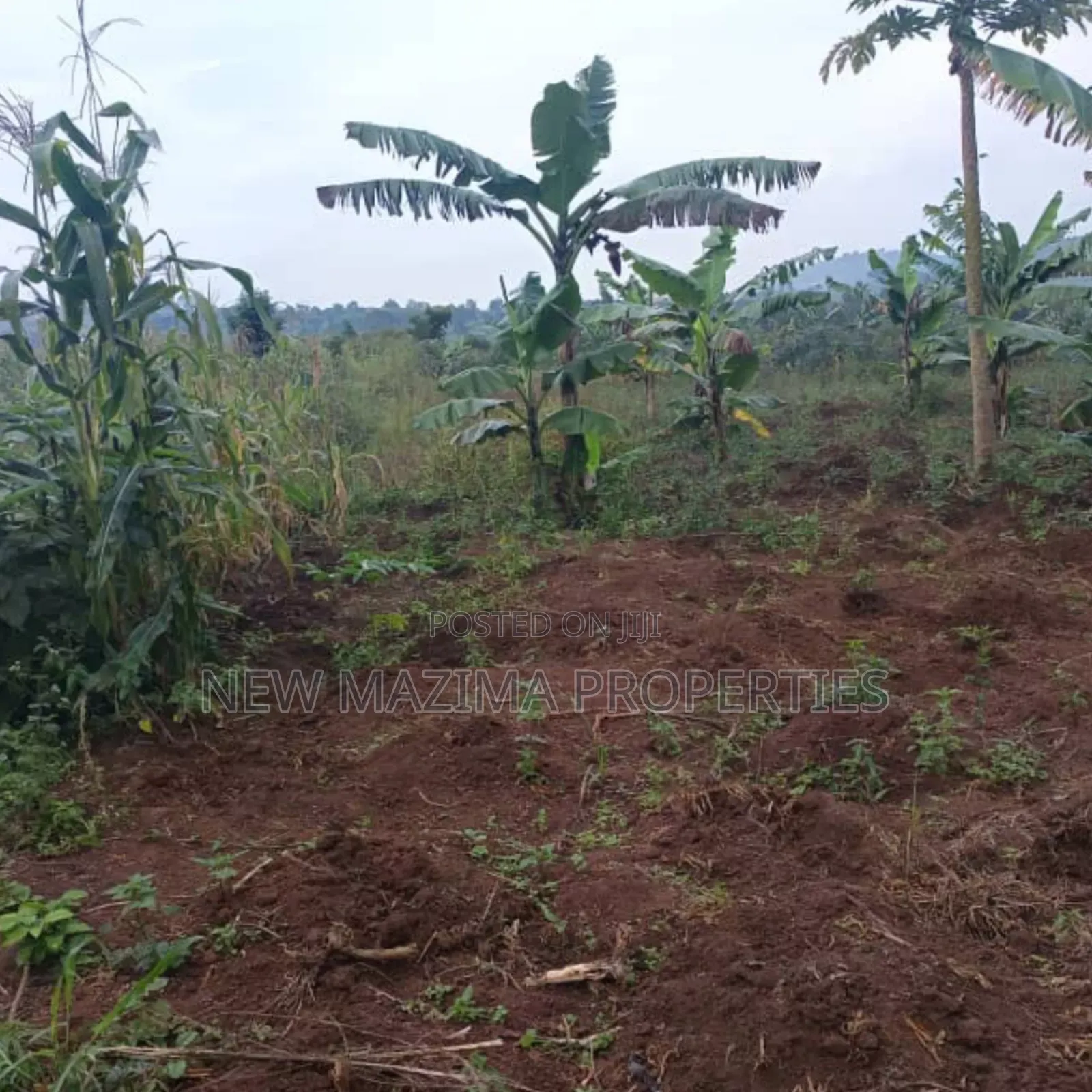 Very Hot Plots With Ready Private Title on Table on Quicksale Mpigi in Central Division