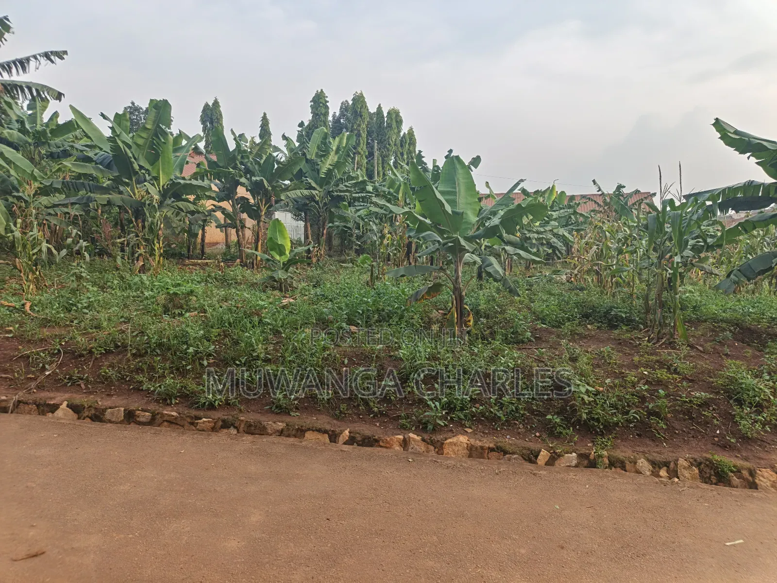 50decimal Plot of Land on Sale in Kisaasi in Central Division