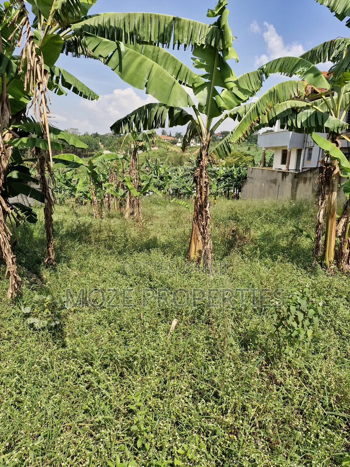 Kira Shemon 50x100 Plot for Sale. in Central Division
