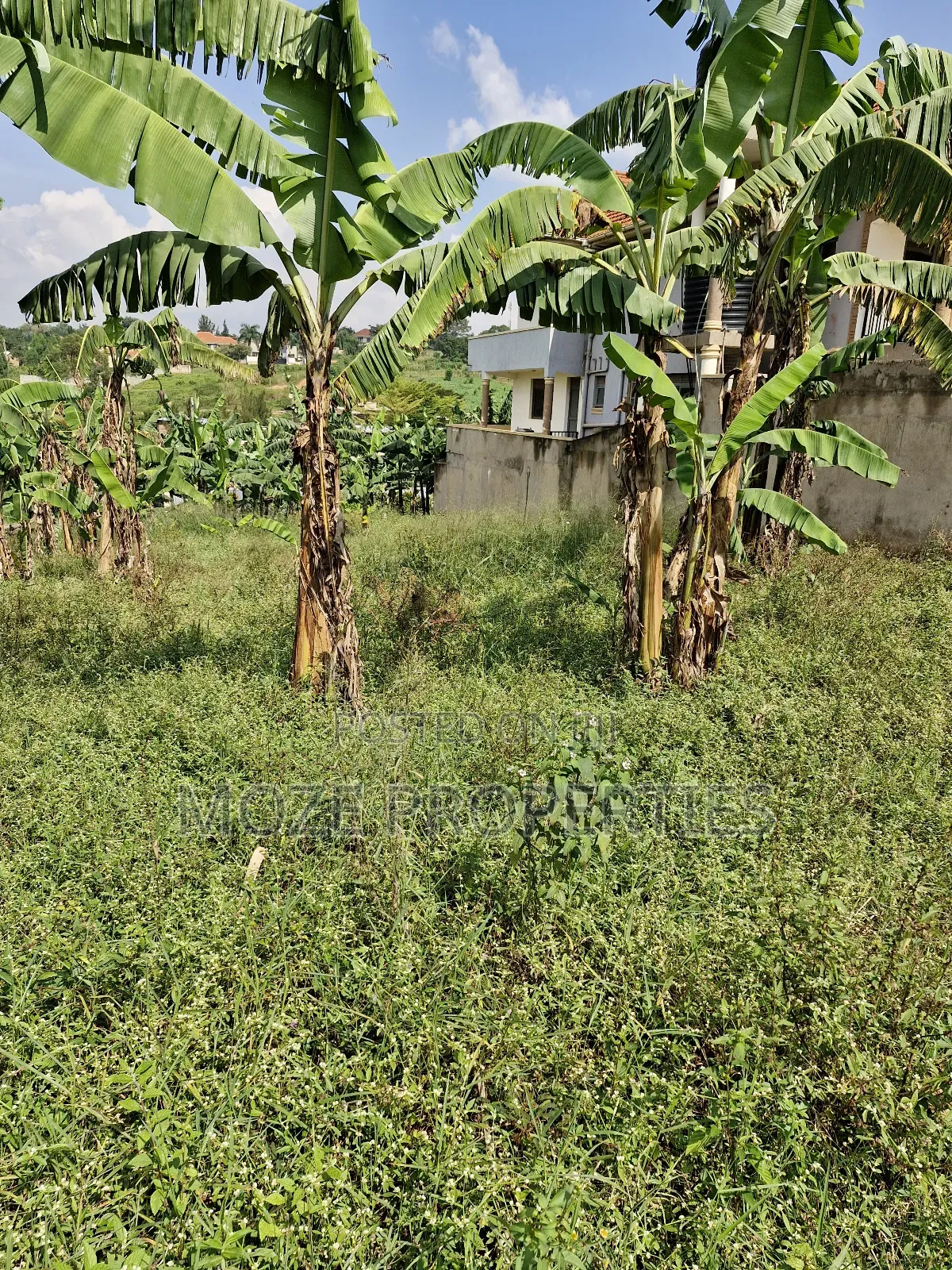 Kira Shemon 50x100 Plot for Sale. in Central Division
