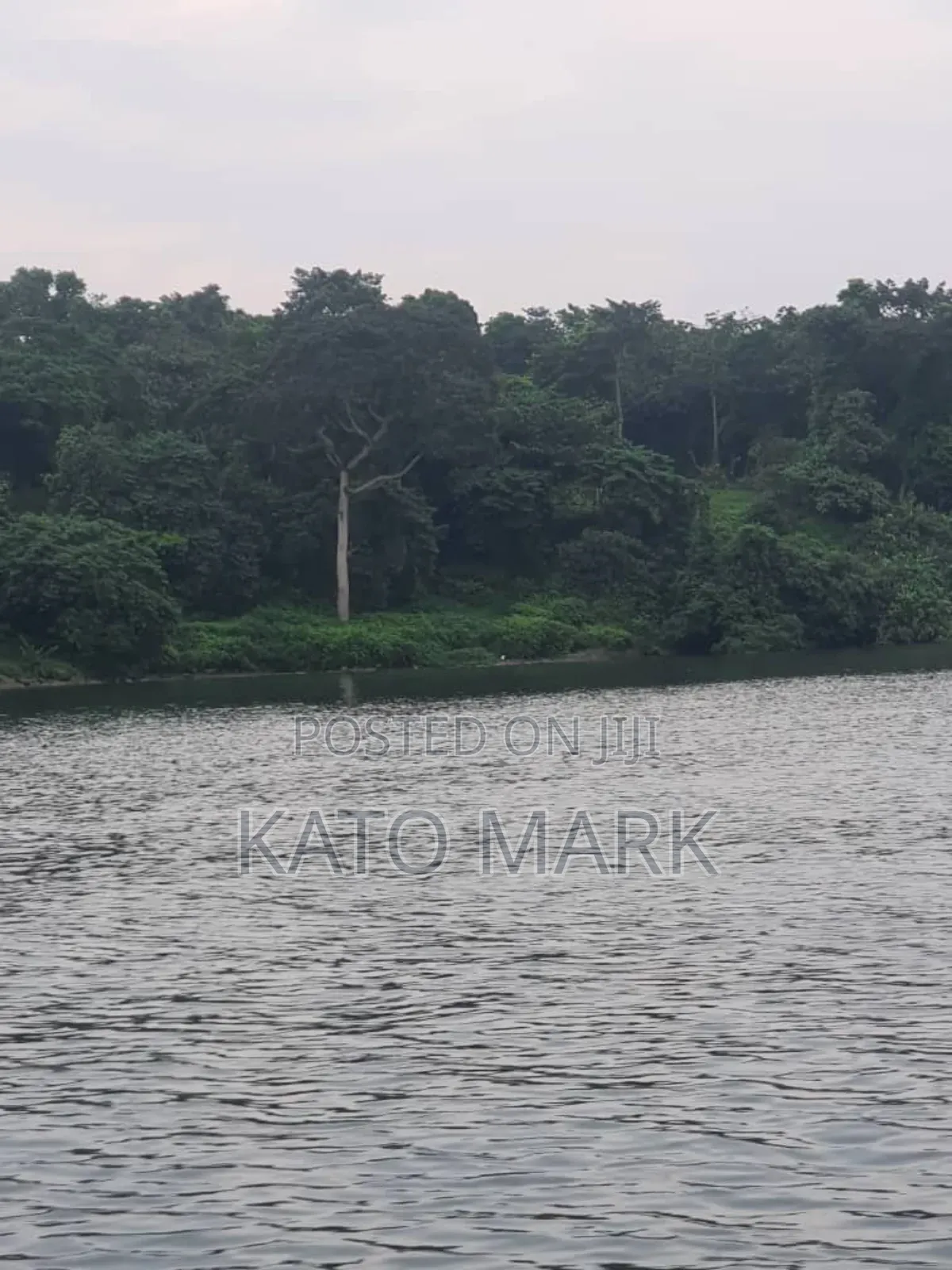 Lake View 5 Acres for Sale Located at Mukono Nkokonjeru in Mukono TC