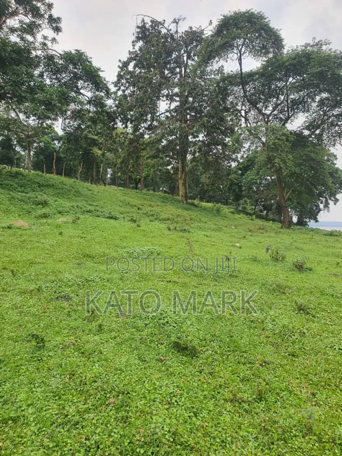 Lake View 5 Acres for Sale Located at Mukono Nkokonjeru in Mukono TC