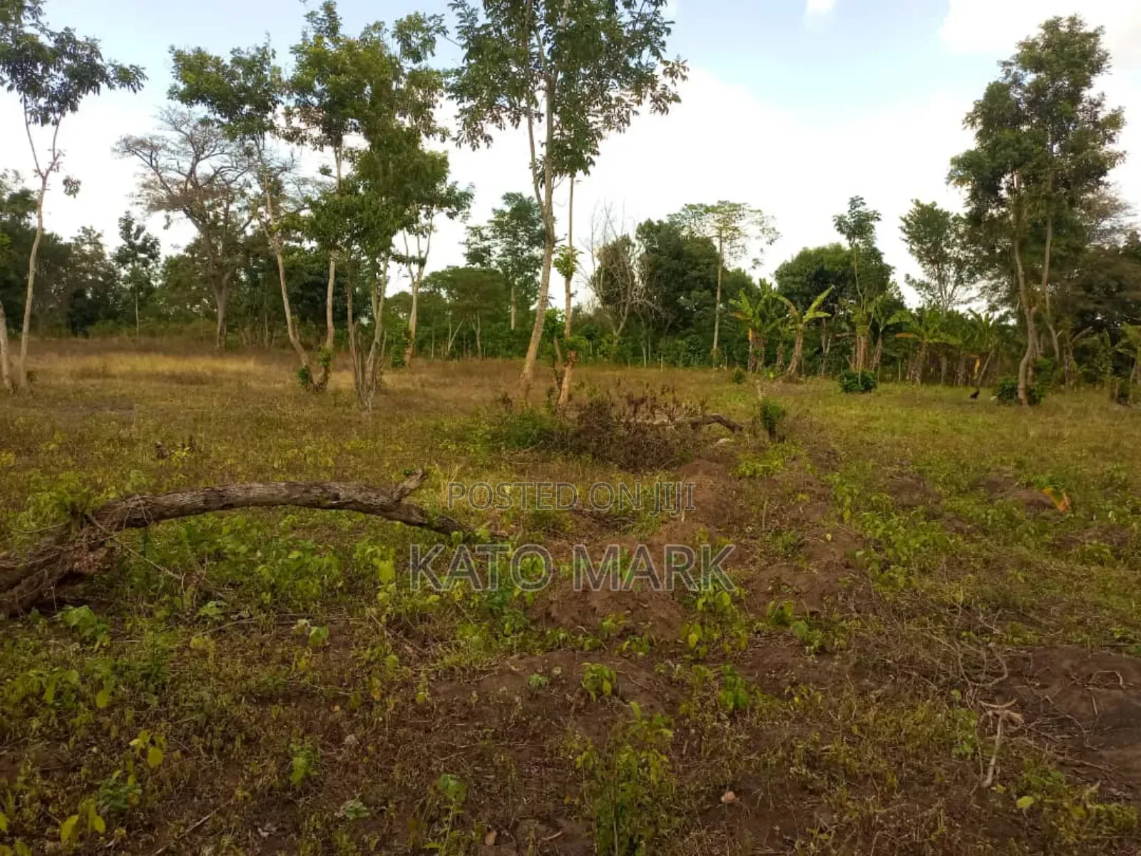 Lake View 5 Acres for Sale Located at Mukono Nkokonjeru in Mukono TC