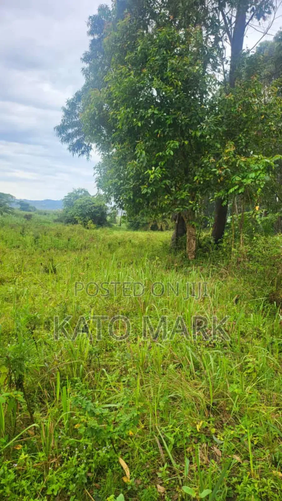 52 Acres for Sale Located at Kayunga Nakyesa in Mukono TC