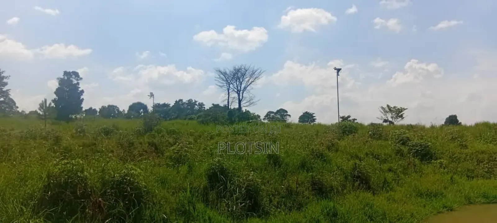2.2 Acres of Land Freehold Titled, Bulamagi Iganga in Iganga
