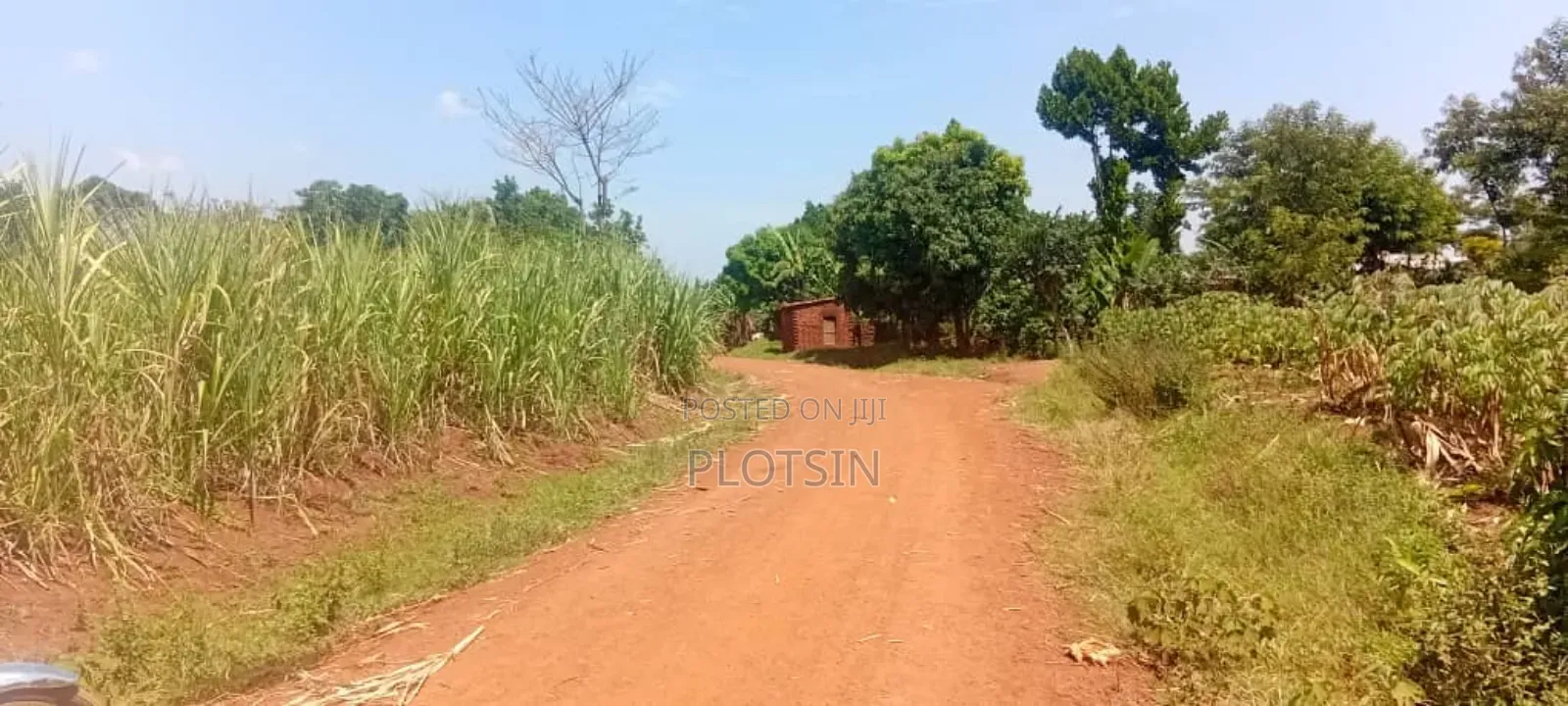 2.4 Acres for Sale in Bulamagi, Iganga – Ugx 32 Million in Iganga
