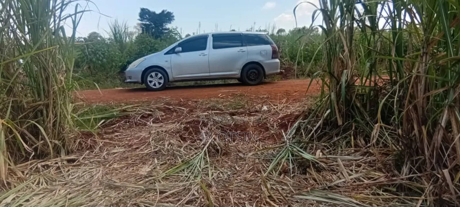 2.4 Acres for Sale in Bulamagi, Iganga – Ugx 32 Million in Iganga