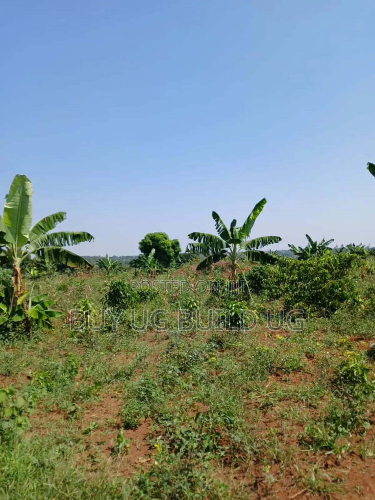 Good Deal 10 Acres for Sale Luwero Kamira, 10m Per Acre in Central Division