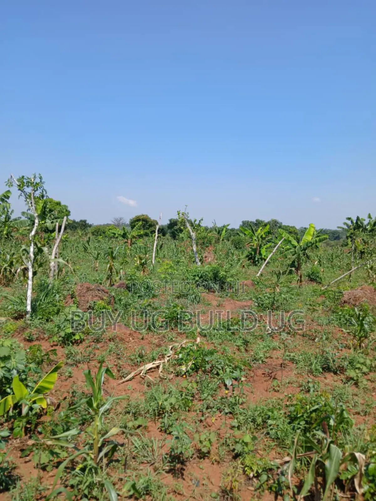 Good Deal 10 Acres for Sale Luwero Kamira, 10m Per Acre in Central Division
