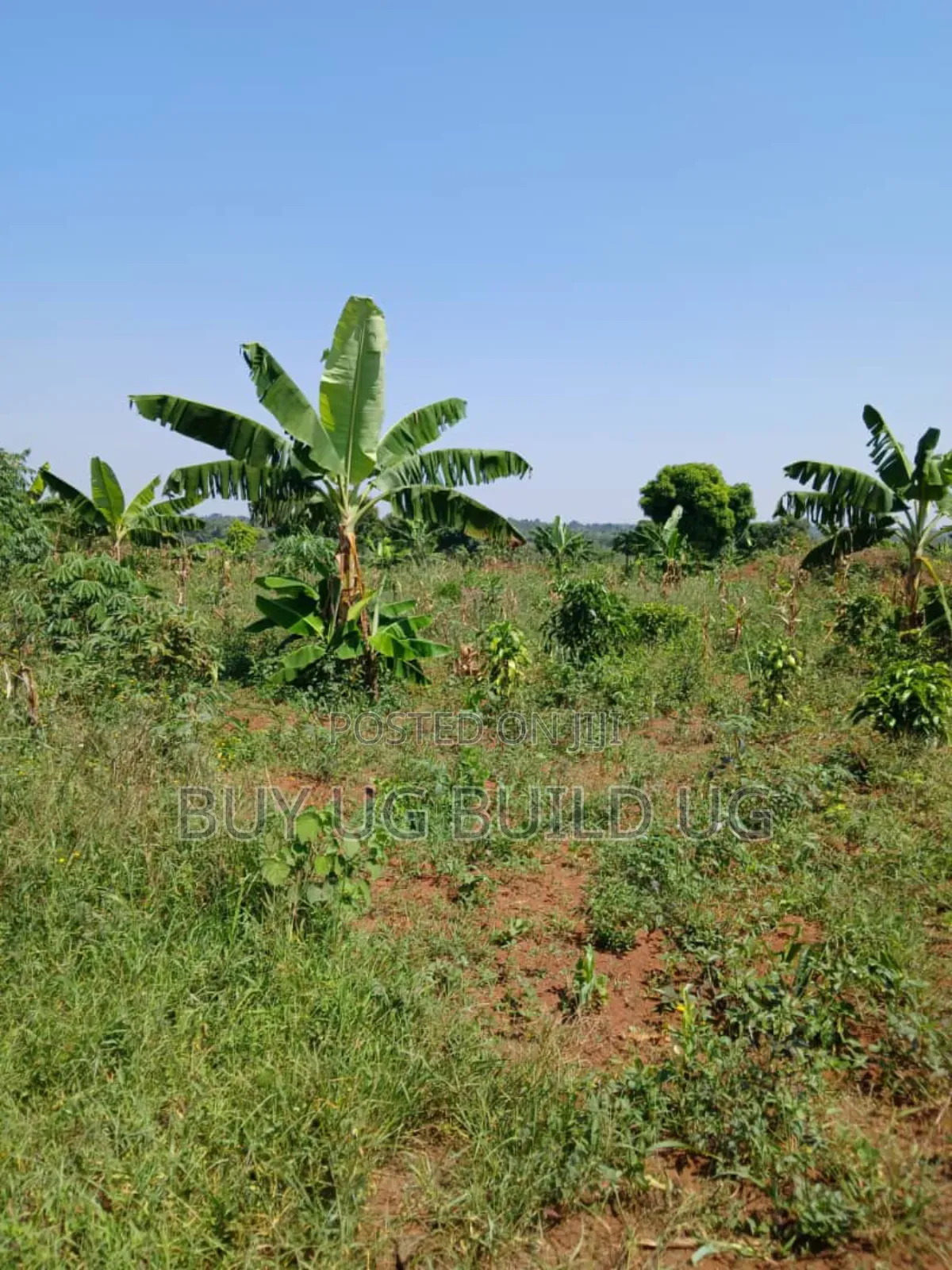 Good Deal 10 Acres for Sale Luwero Kamira, 10m Per Acre in Central Division