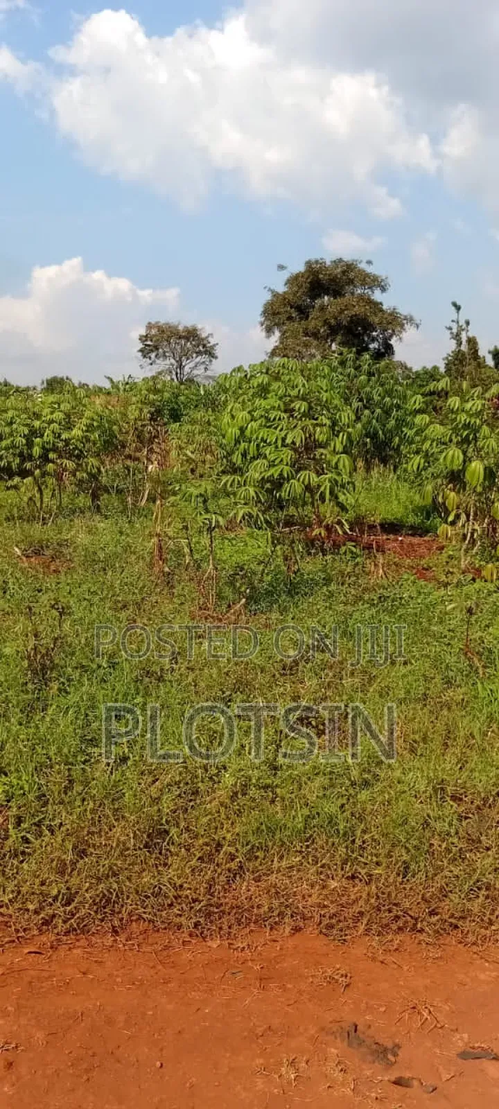5 Acres Of Land – Balawoli Trading Centre, Kamuli District in Kamuli