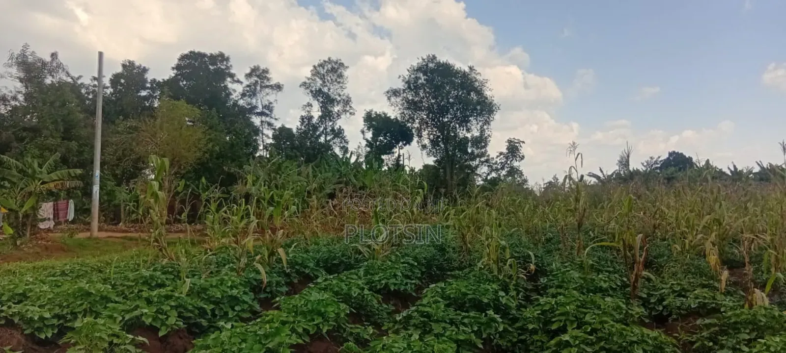 5 Acres Of Land – Balawoli Trading Centre, Kamuli District in Kamuli