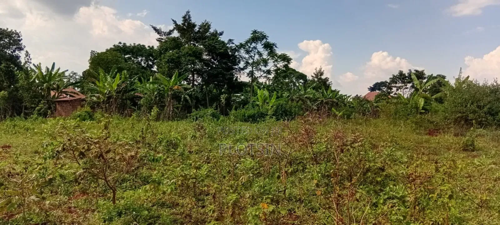 5 Acres Of Land – Balawoli Trading Centre, Kamuli District in Kamuli